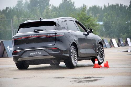 国产弯道超车最新视频