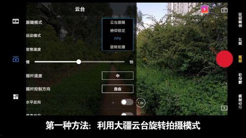 国产盗摄影视频,揭秘影视盗版背后的灰色产业链