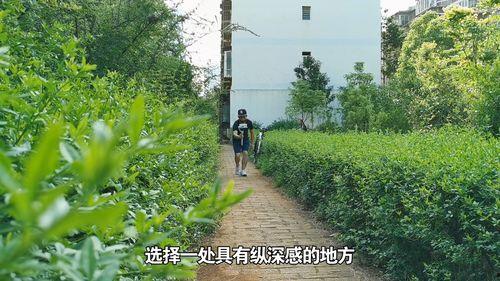 国产盗摄影视频,揭秘影视盗版背后的灰色产业链