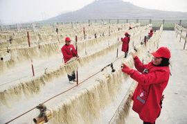 全国产粮大市视频