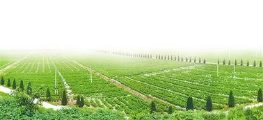 全国产粮大市视频