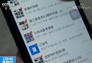 国产旅游骗局揭秘视频曝光,视频曝光背后的真相与警示