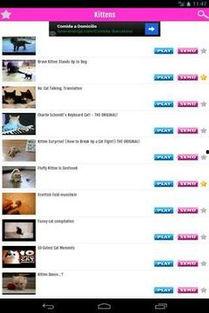 国产猫搞笑视频下载安装,萌宠欢乐时光，一键收藏笑料连连  第3张