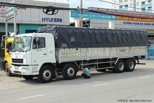 国产卡车在东南亚视频  第3张