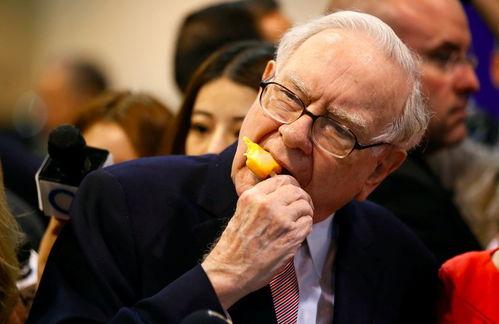 国产巴菲特解说视频大全,视频大全深度解析